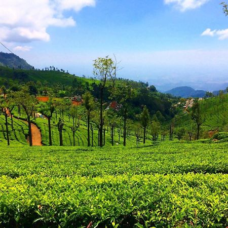 Blusalz Homes - One Lovedale, Ooty - Tamil Nadu 外观 照片