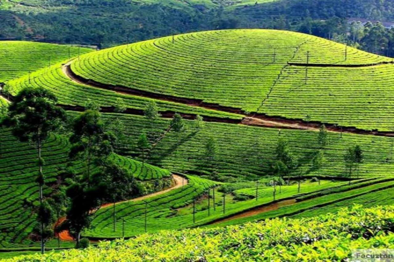 Blusalz Homes - One Lovedale, Ooty - Tamil Nadu 外观 照片