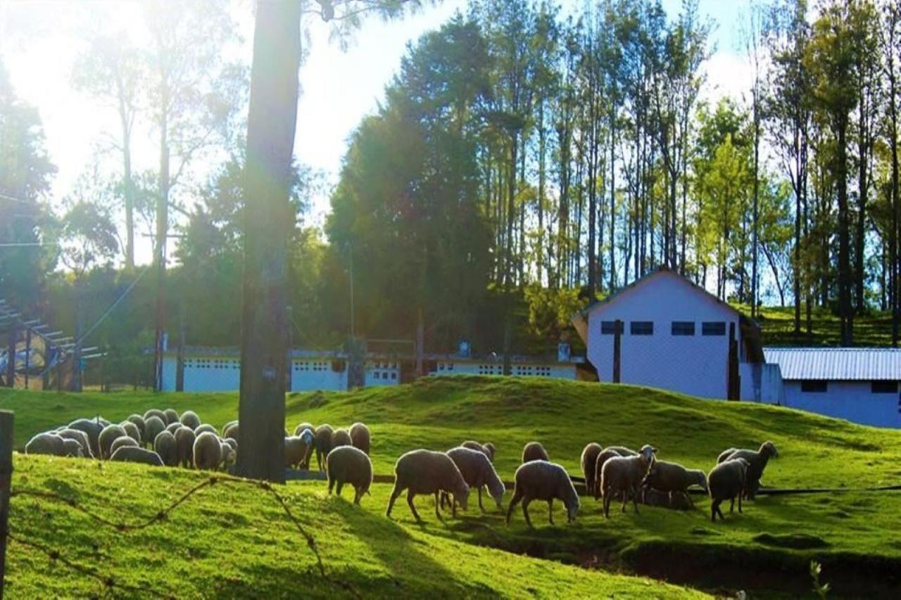 Blusalz Homes - One Lovedale, Ooty - Tamil Nadu 外观 照片