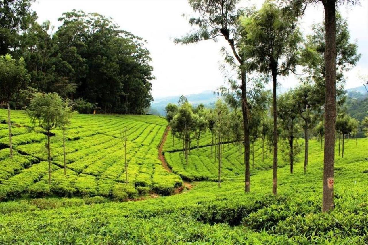 Blusalz Homes - One Lovedale, Ooty - Tamil Nadu 外观 照片