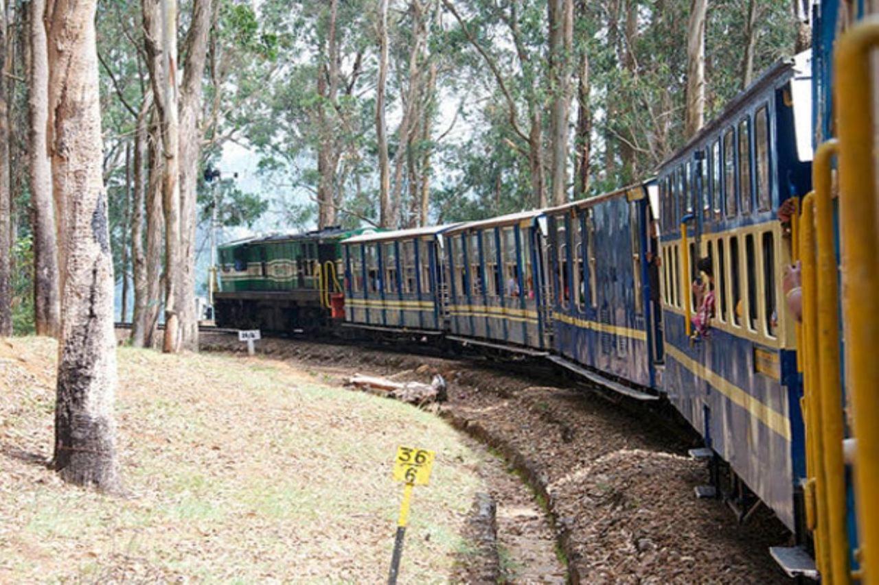 Blusalz Homes - One Lovedale, Ooty - Tamil Nadu 外观 照片