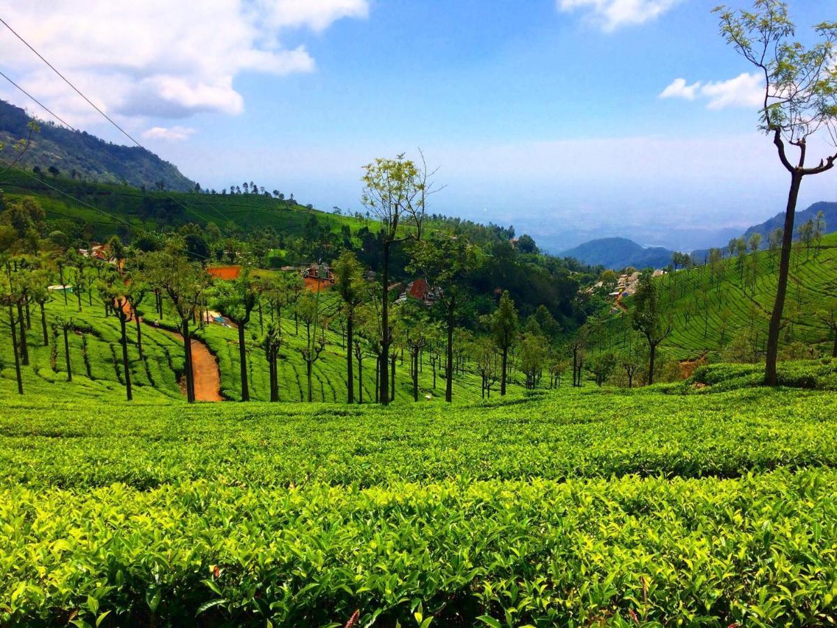 Blusalz Homes - One Lovedale, Ooty - Tamil Nadu 外观 照片