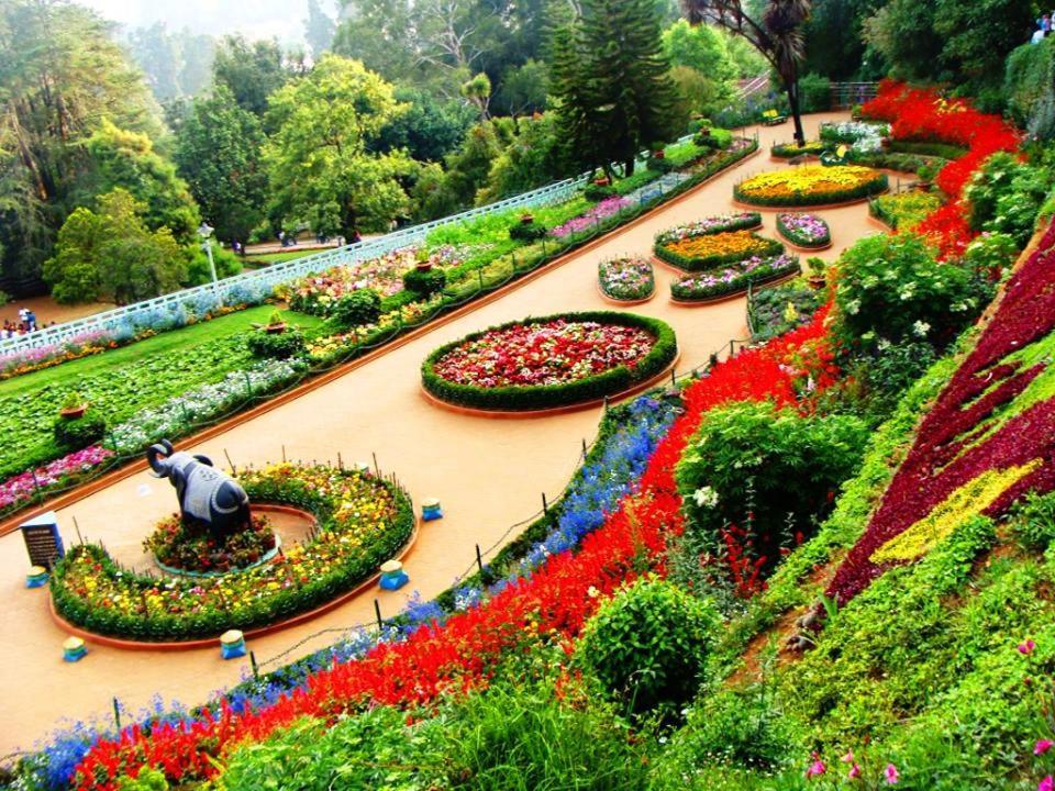 Blusalz Homes - One Lovedale, Ooty - Tamil Nadu 外观 照片